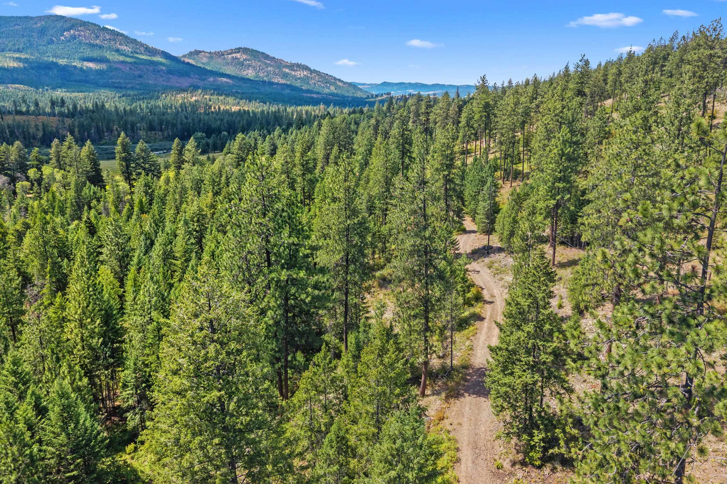 Nna Dry Creek Road, Unit LOT 1 Chewelah, WA 99109 - Photo 8 of 27