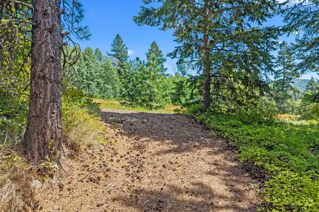 $200,000 | Nna Dry Creek Road, Unit LOT 1, Chewelah, WA 99109