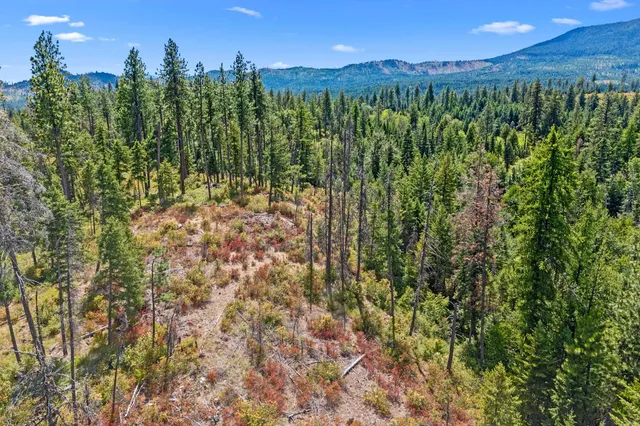 $200,000 | Nna Dry Creek Road, Unit LOT 1, Chewelah, WA 99109