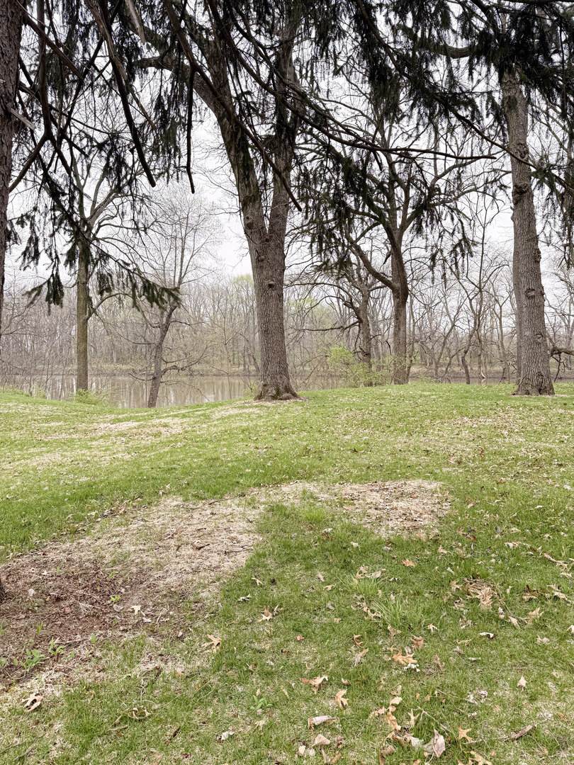 1599 East 2700 North Road Clifton, IL 60927 - Photo 8 of 26 a view of a field with large trees