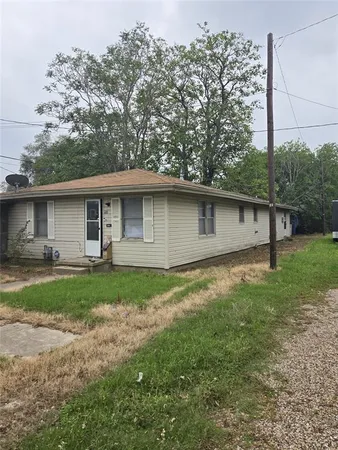 a view of a backyard with plants and large tree
