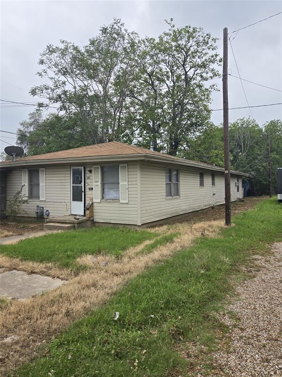 a view of a backyard with plants and large tree