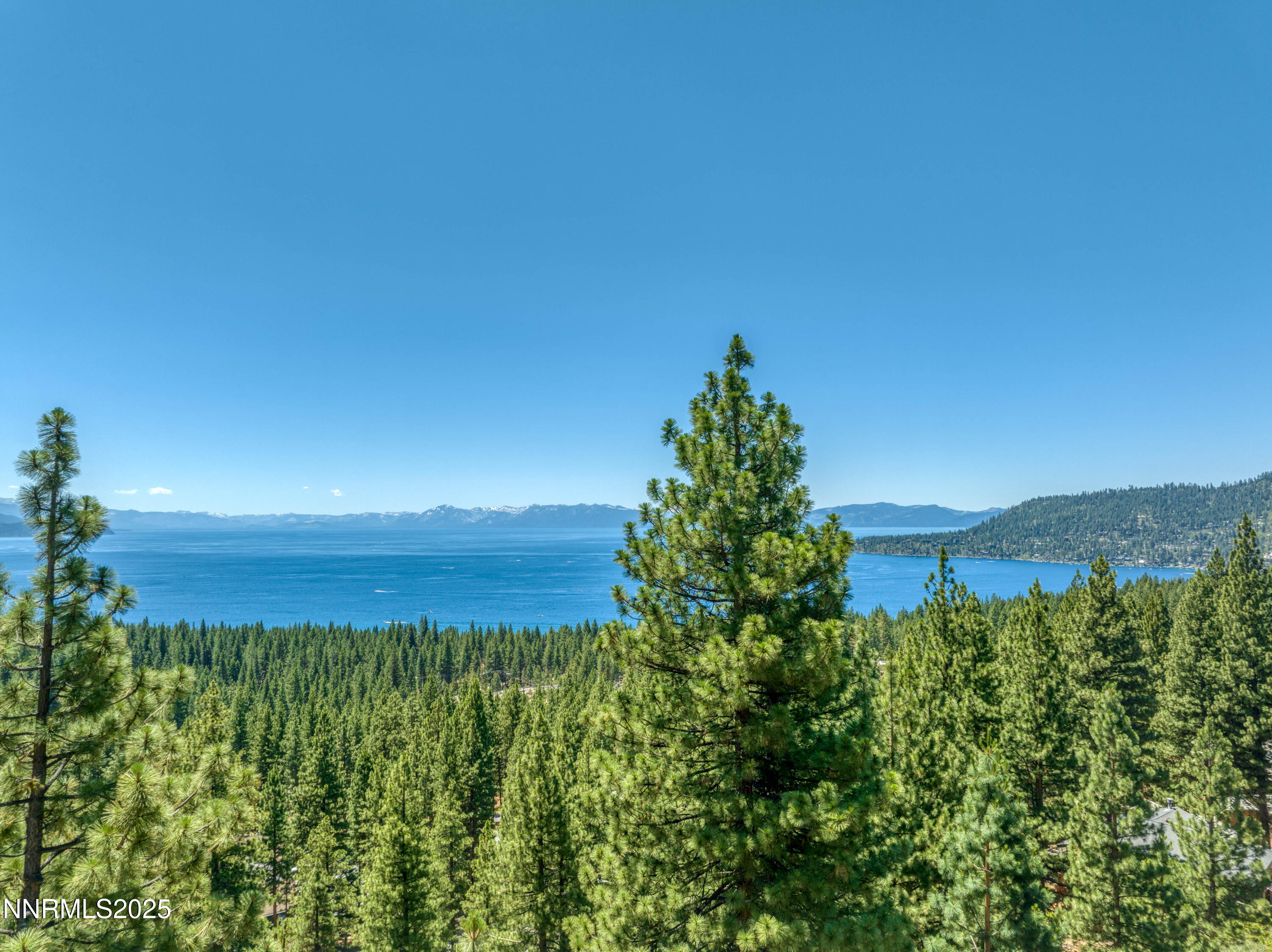 689 Tyner Way Incline Village, NV 89451 - Photo 29 of 50 a view of a garden