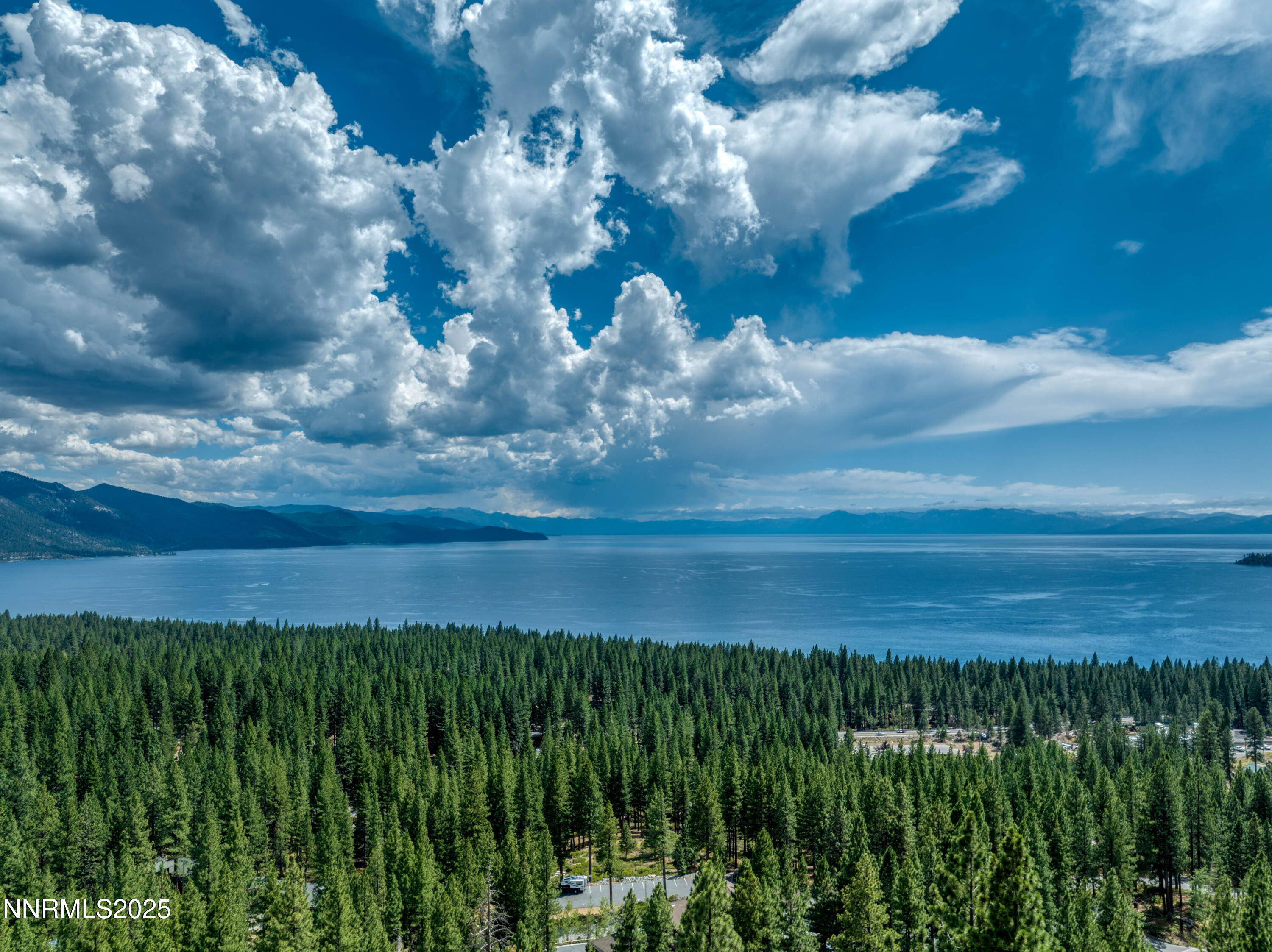 689 Tyner Way Incline Village, NV 89451 - Photo 48 of 50 a view of yard with green space