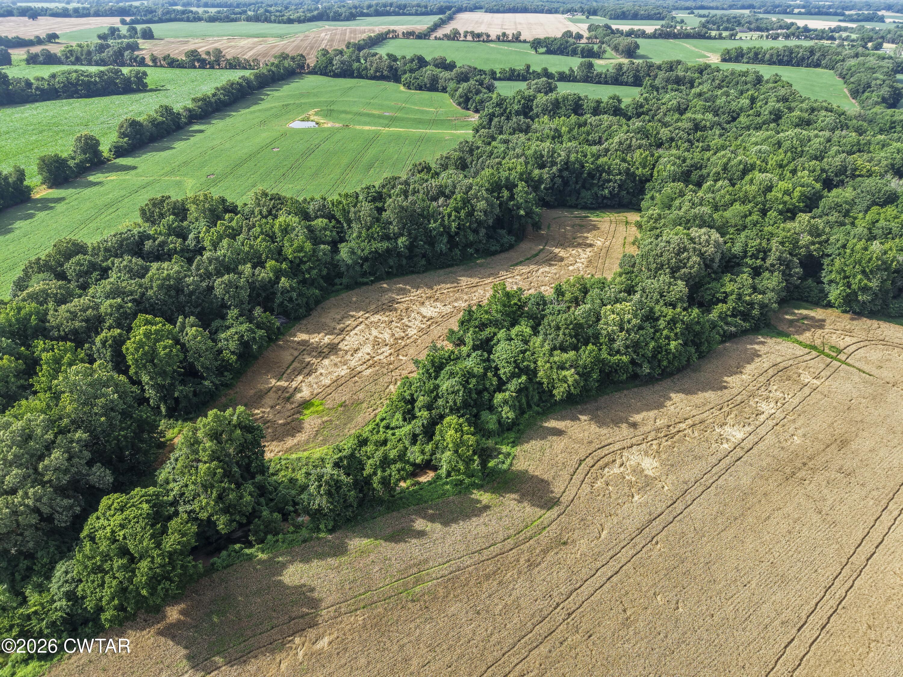 0 Old Jackson Road Gadsden, TN 38337 - Photo 5 of 23 DJI_20260608165429_0603_D