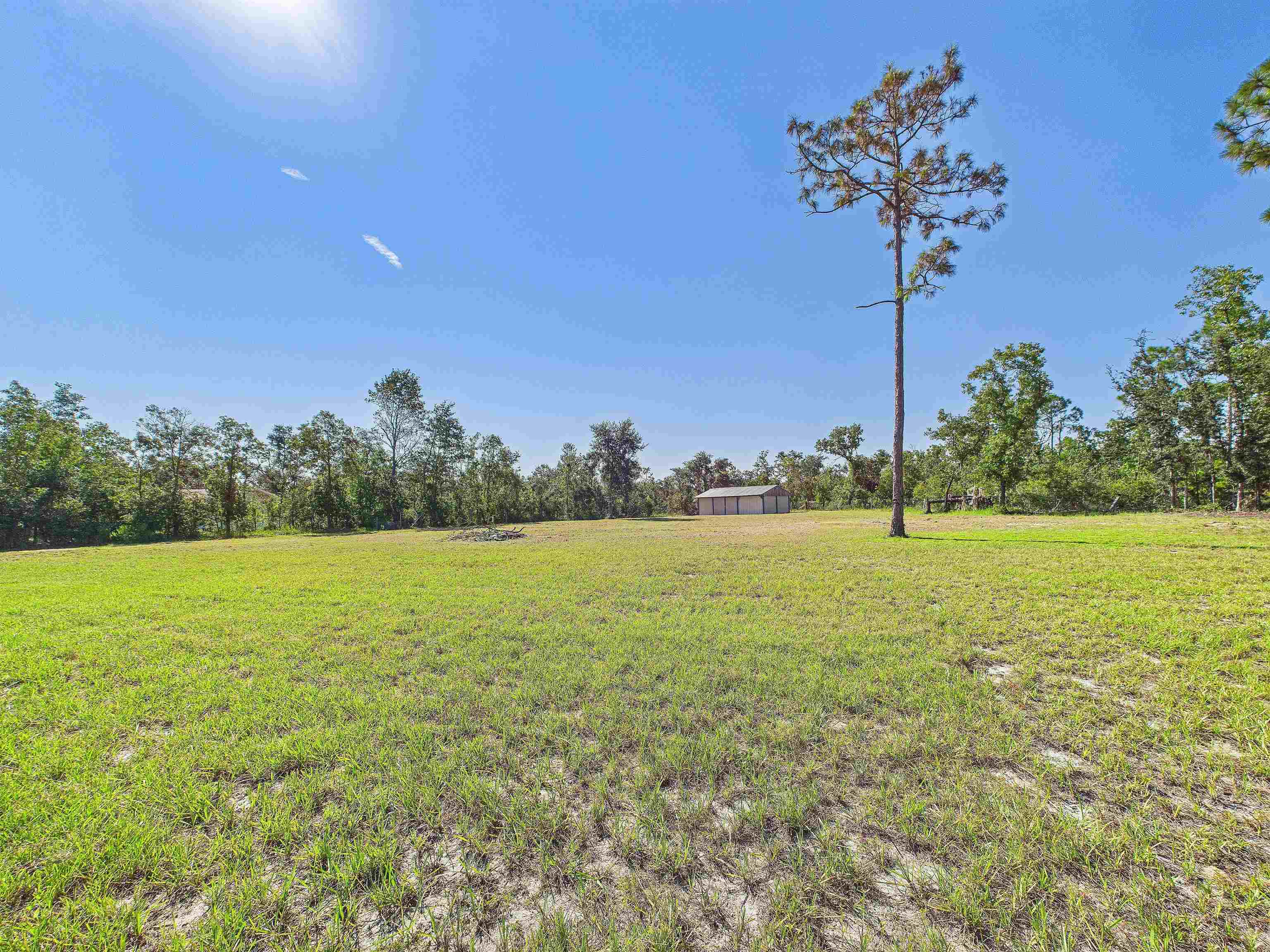 13535 North Gulf Manor Perry, FL 32348 - Photo 6 of 41