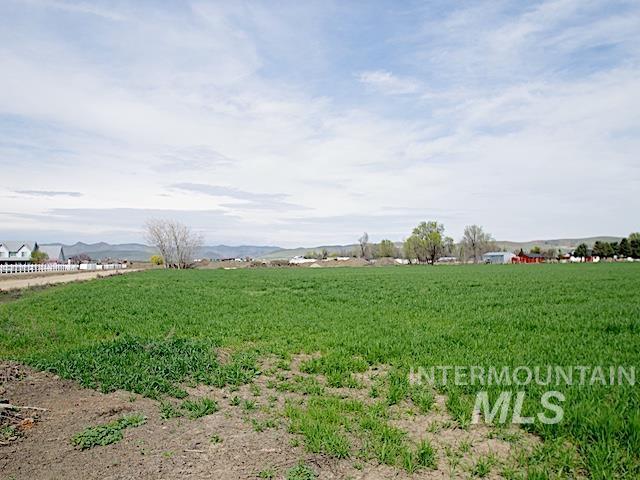 Tbd Pioneer Road Weiser, ID 83672 - Photo 9 of 9 View of green lawn featuring a rural view and agricultural area