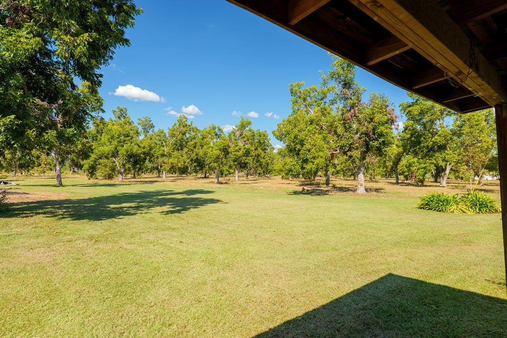 288 Johnson Road Naylor, GA 31641 - Photo 44 of 50 Gallery Image 44