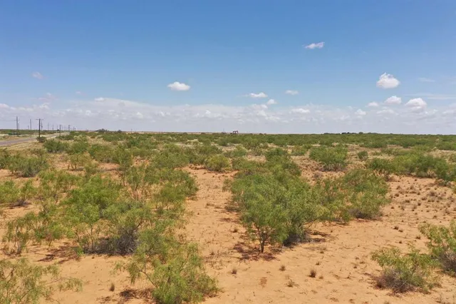 a view of yard with outdoor space