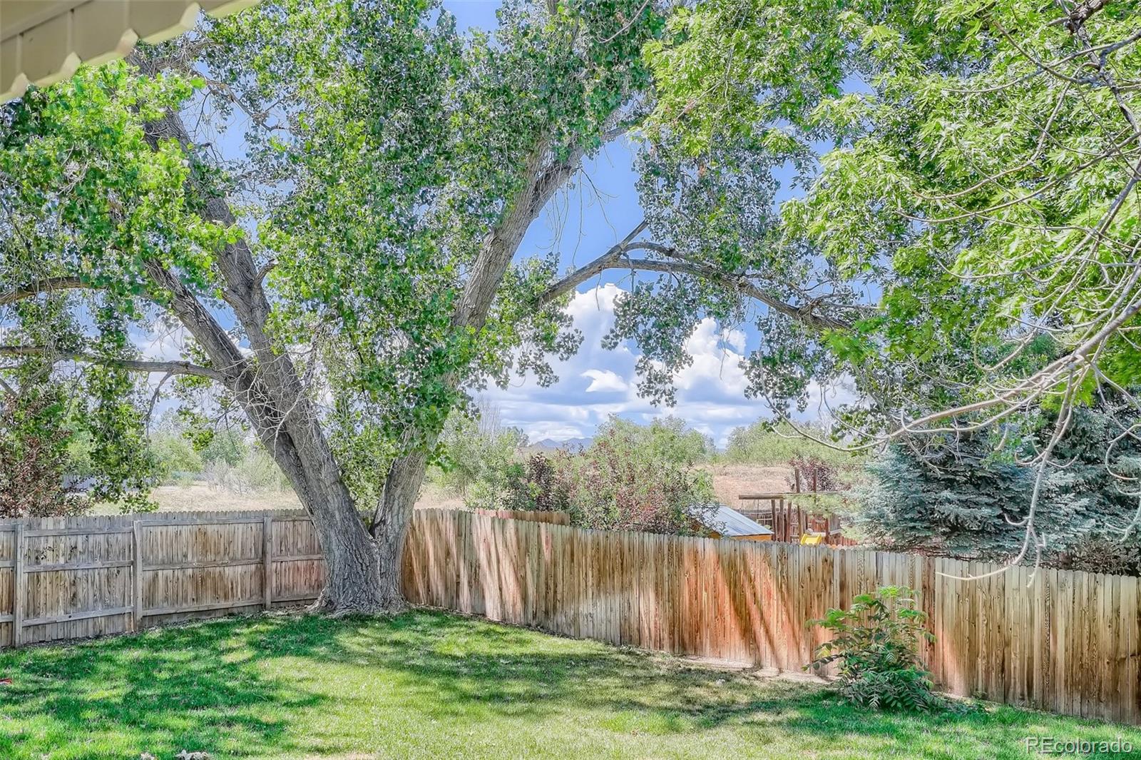 10541 Routt Street Westminster, CO 80021 - Photo 25 of 26 a view of backyard with large tree and wooden fence