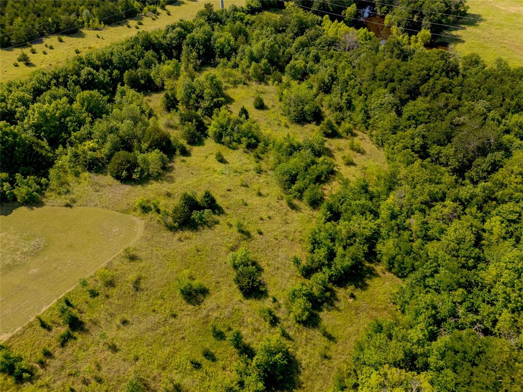 121 Sam Rayburn Highway Anna, TX 75409 - Photo 6 of 18 a view of a big yard with lots of trees