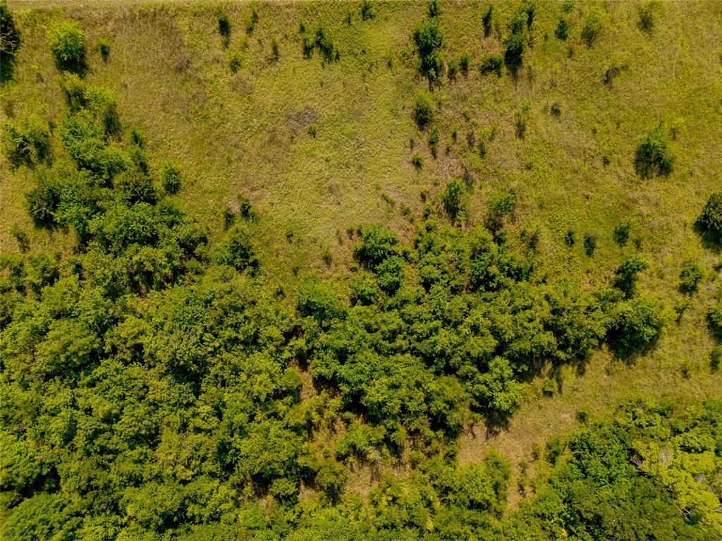 121 Sam Rayburn Highway Anna, TX 75409 - Photo 7 of 18 a view of a big yard