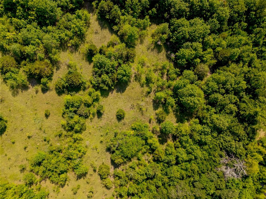 121 Sam Rayburn Highway Anna, TX 75409 - Photo 9 of 18 a view of a big yard with lots of bushes