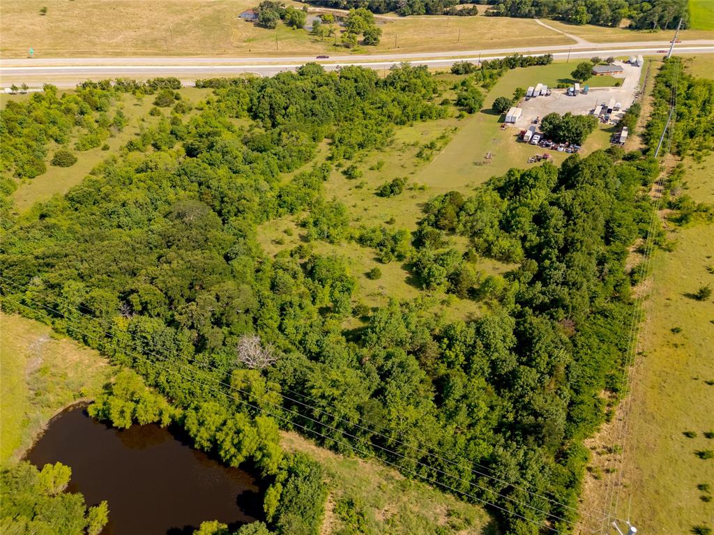 121 Sam Rayburn Highway Anna, TX 75409 - Photo 10 of 18 a view of a yard with a tree