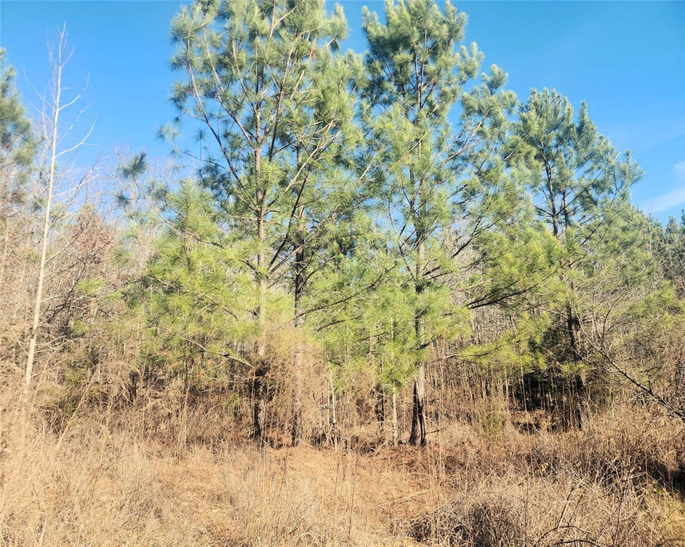 0 Holliday Dam Road Belton, SC 29627 - Photo 8 of 18 Gallery Image 8