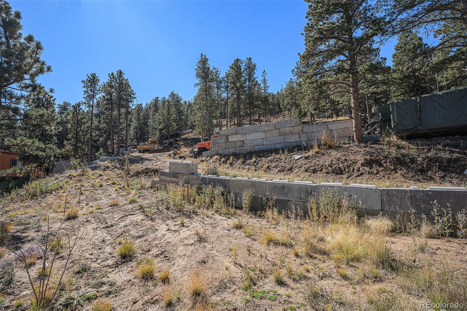 12 High View Lane Bailey, CO 80421 - Photo 11 of 23 a view of a water pond with green space