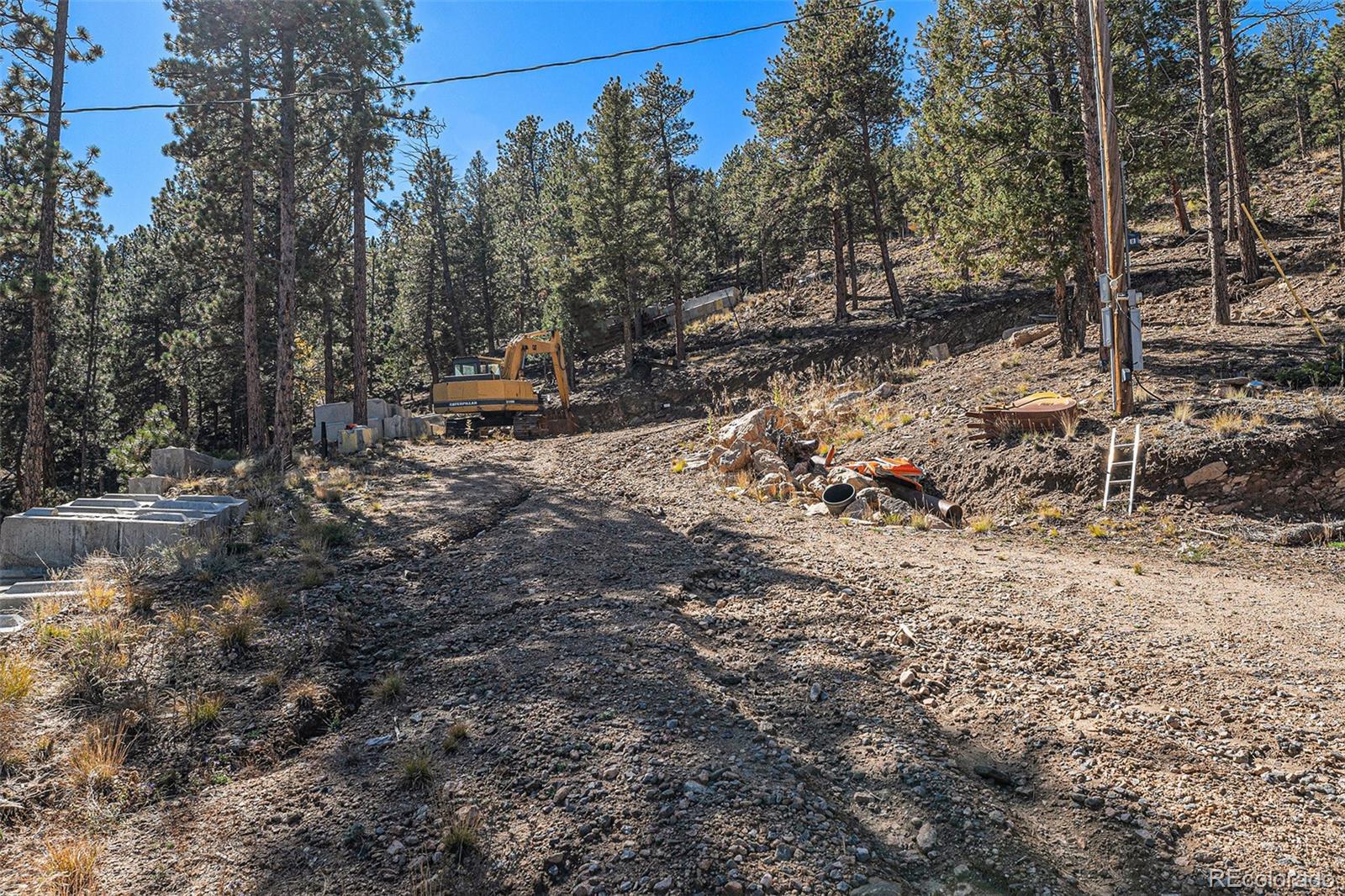 12 High View Lane Bailey, CO 80421 - Photo 12 of 23 a view of a forest with trees