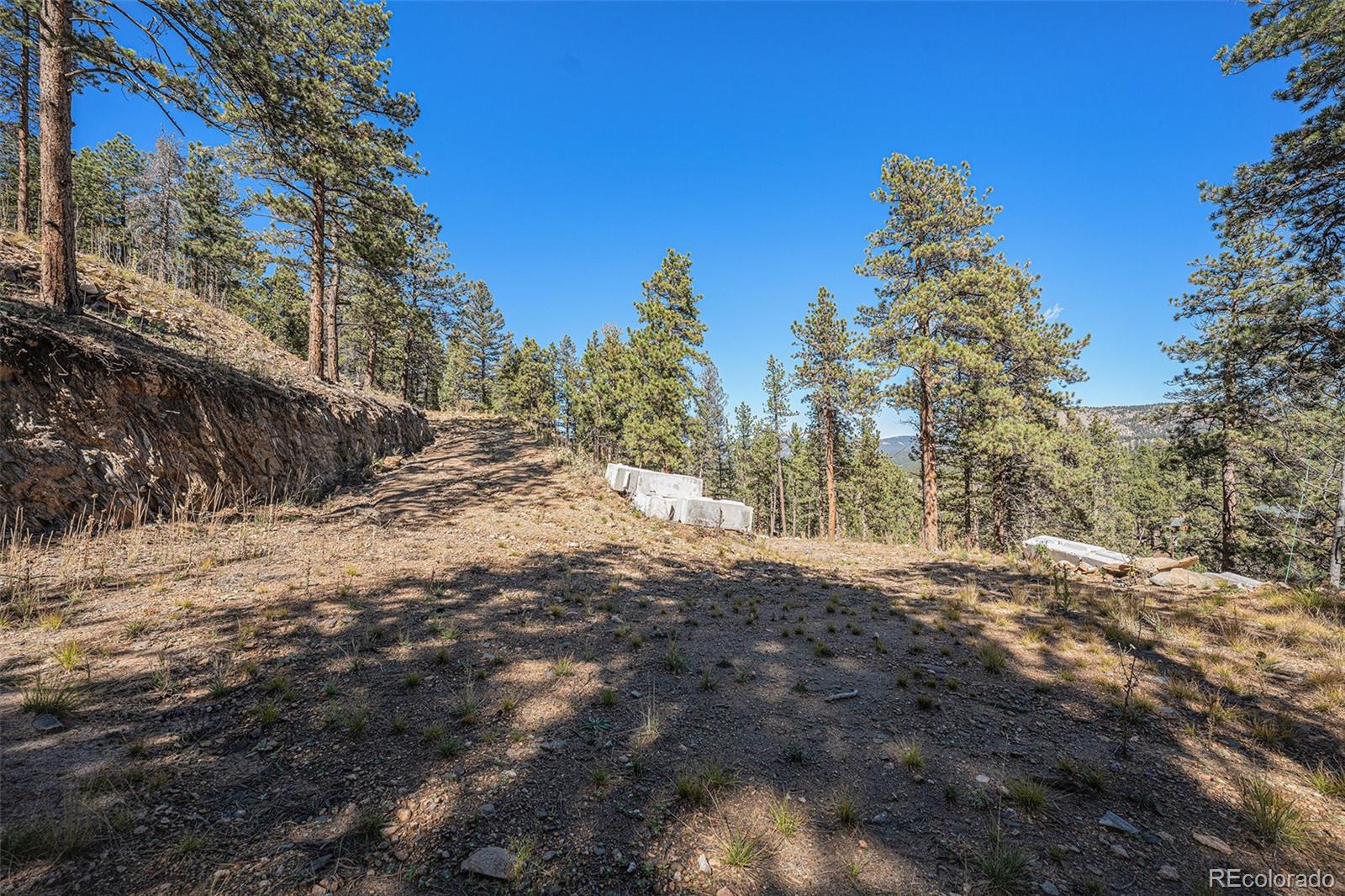 12 High View Lane Bailey, CO 80421 - Photo 13 of 23 a view of a yard with trees