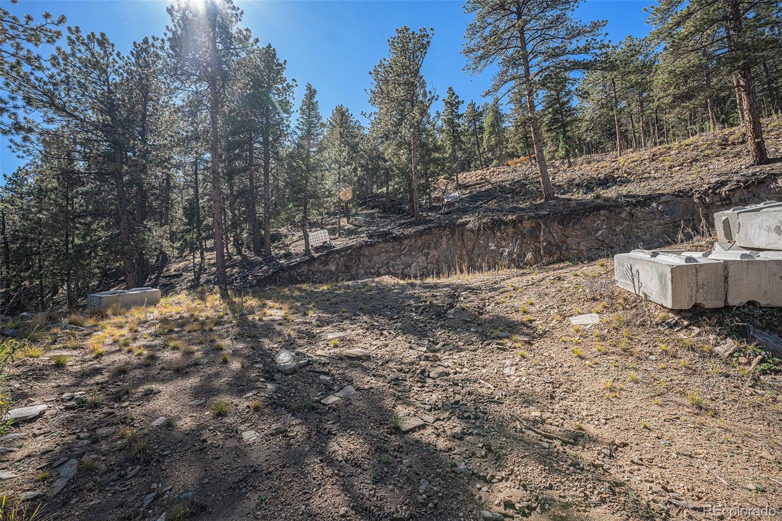 12 High View Lane Bailey, CO 80421 - Photo 14 of 23 a view of a yard with trees