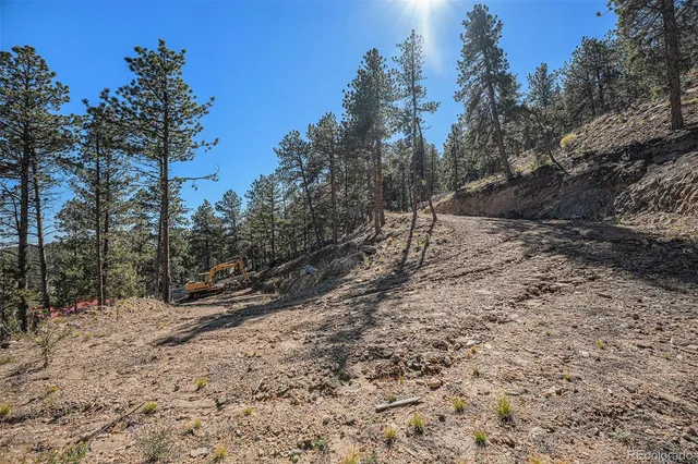 a view of a yard with wooden fence