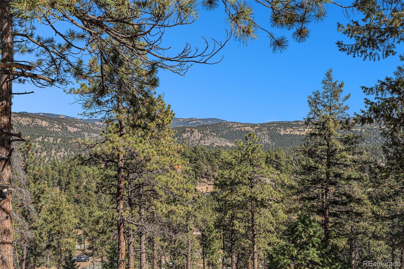 12 High View Lane Bailey, CO 80421 - Photo 16 of 23 a view of a yard with wooden fence