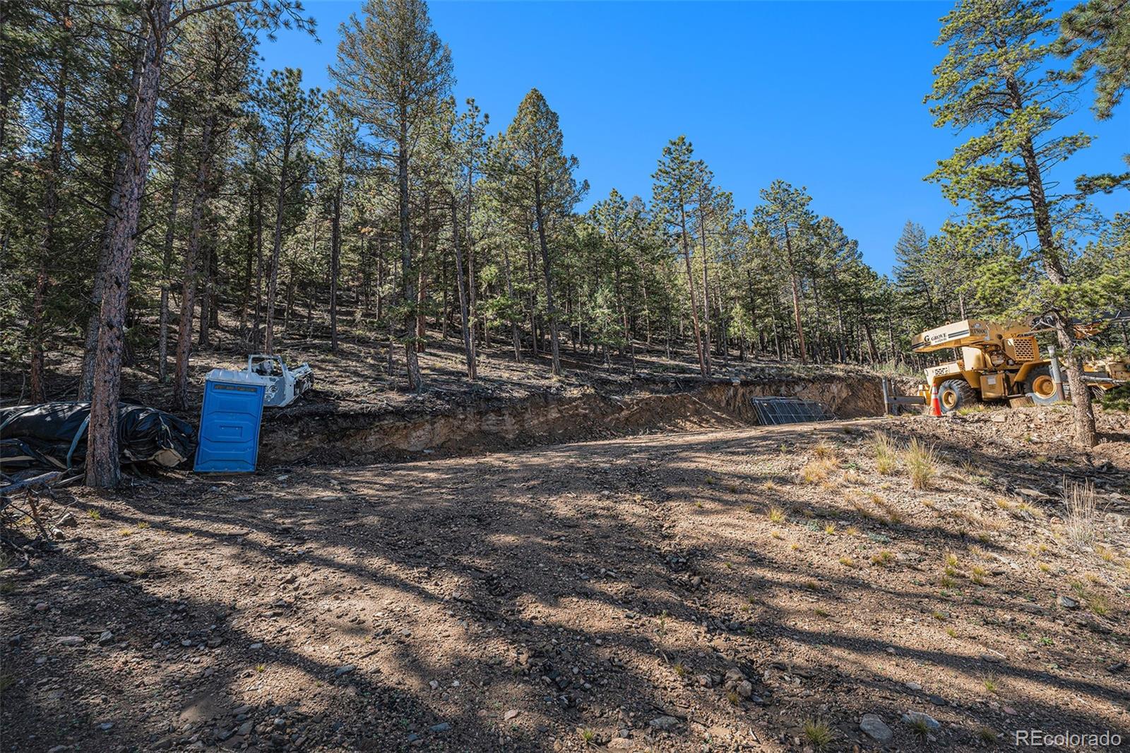 12 High View Lane Bailey, CO 80421 - Photo 7 of 23 a view of a yard with an outdoor space