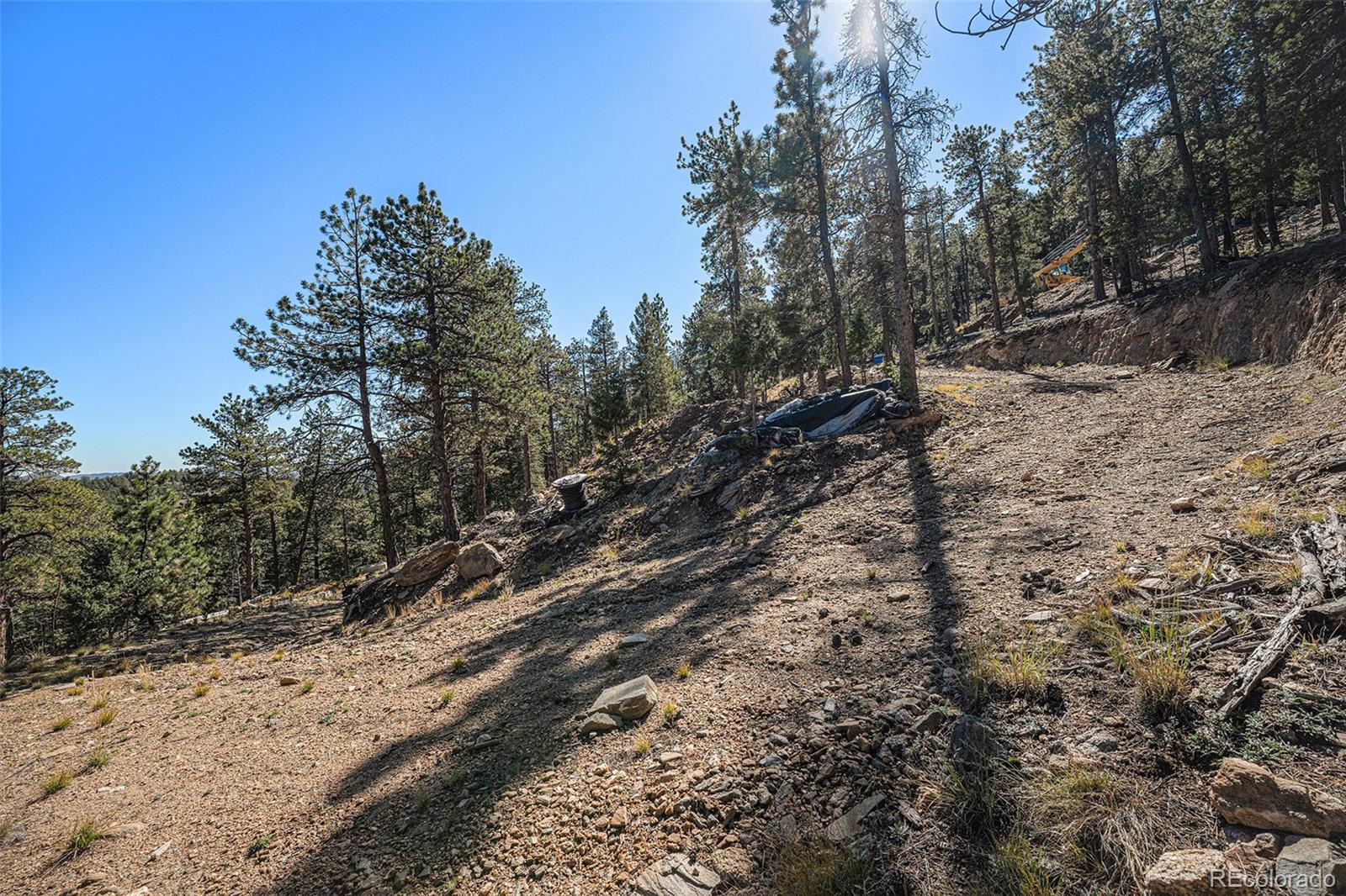 12 High View Lane Bailey, CO 80421 - Photo 9 of 23 a view of a yard with a tree