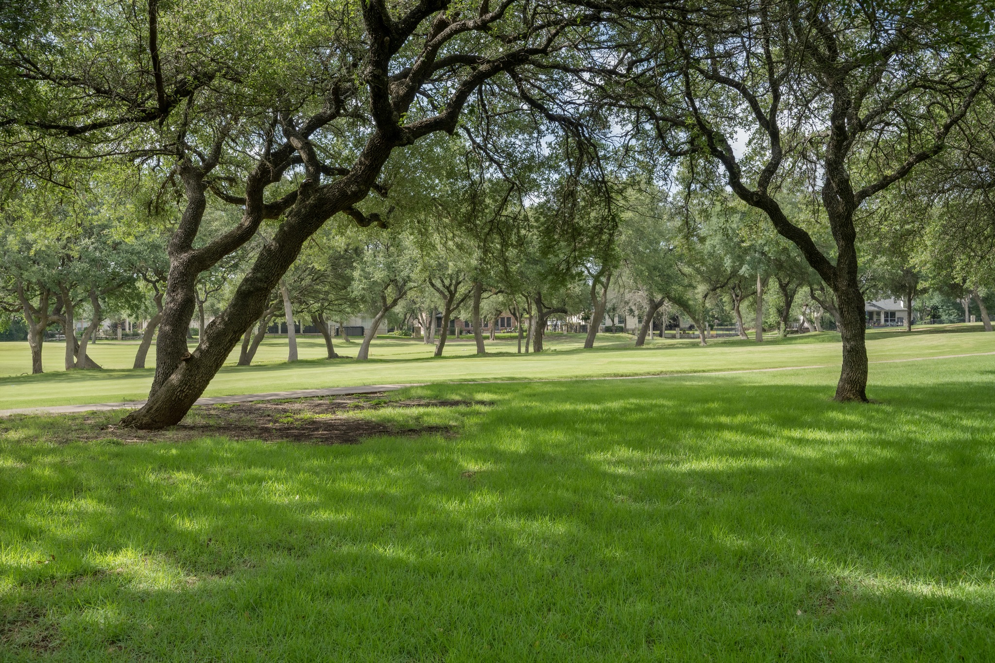 29 Meadows End Georgetown, TX 78628 - Photo 30 of 38 a view of grassy field with benches and trees