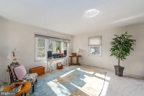 a living room with furniture and potted plant