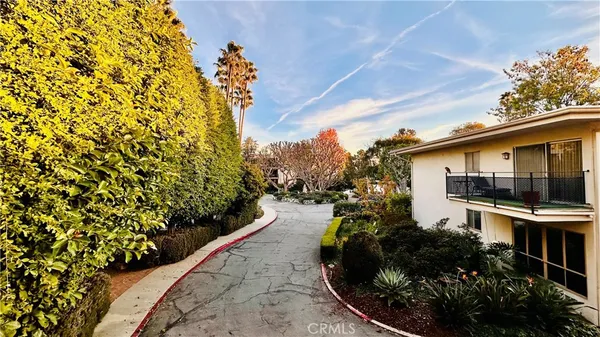 a view of a garden with plants and large trees