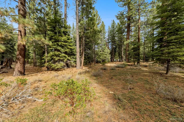a view of outdoor space with trees