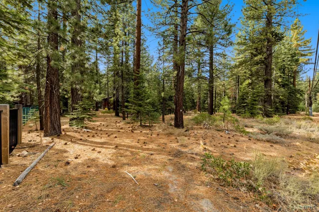 a view of outdoor space with trees