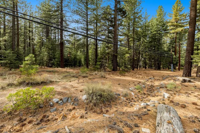 a view of snow on a field