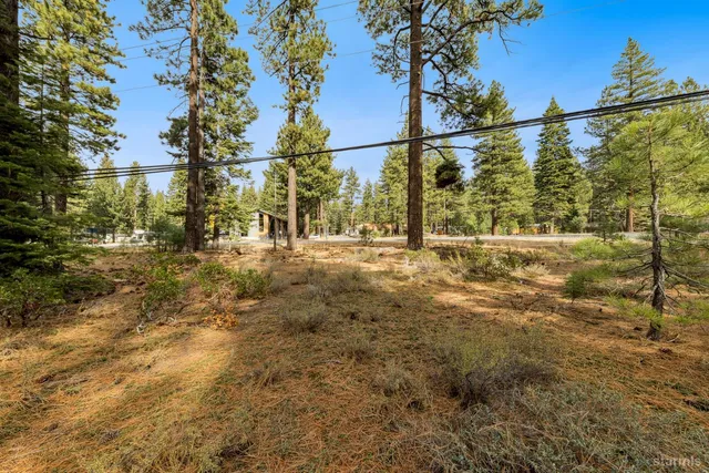 a view of a yard with a house in the background