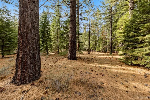 a view of dirt yard with a tree