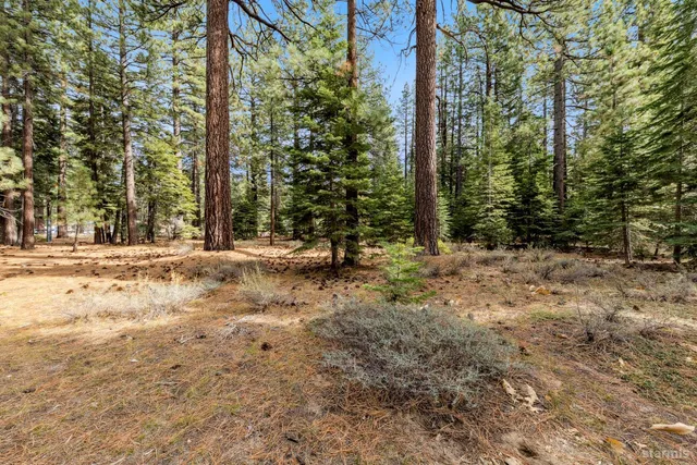 a view of outdoor space with trees