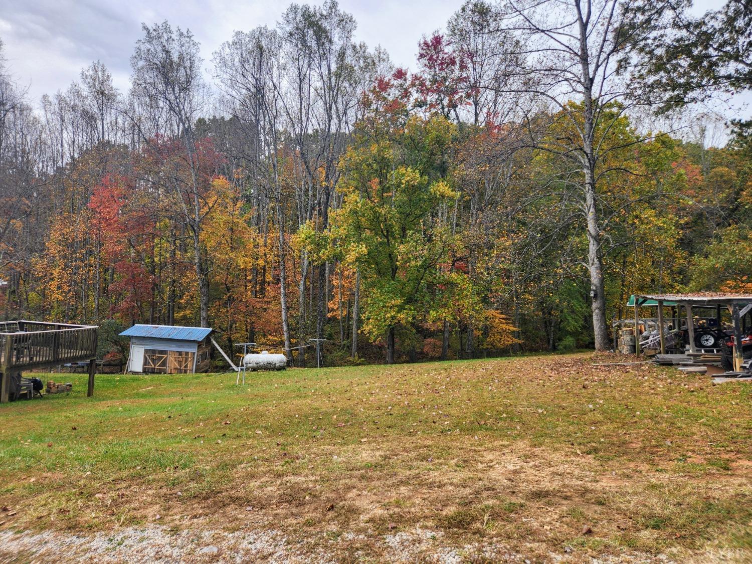 159 Buck Hill Drive Amherst, VA 24521 - Photo 12 of 31 a view of a garden with sitting area