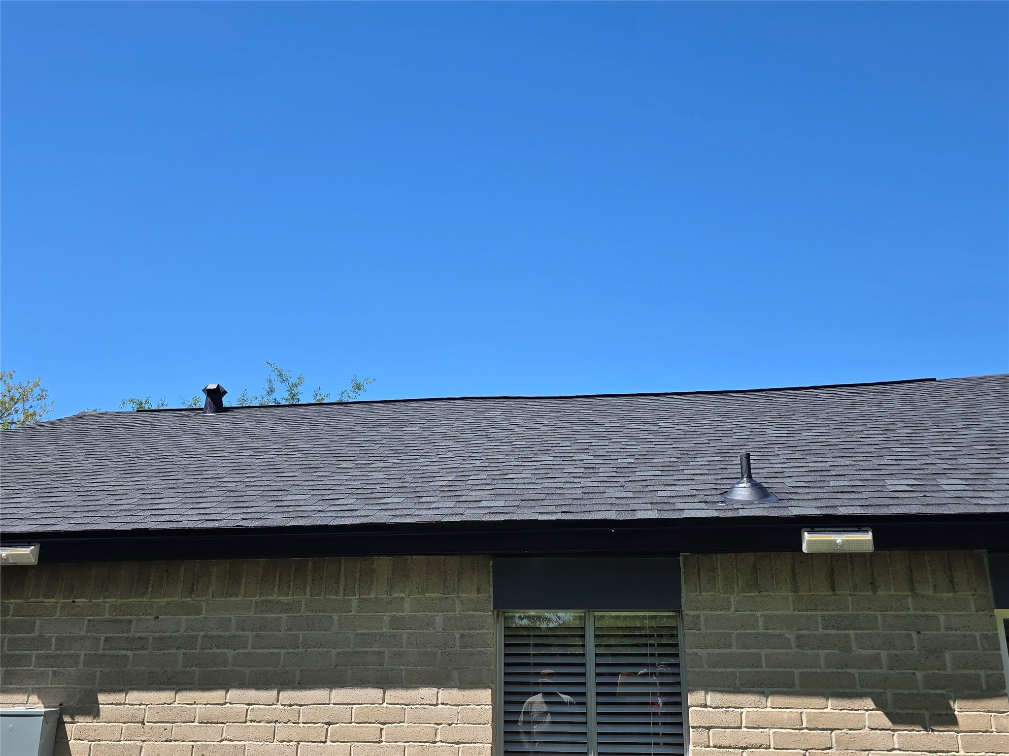 8646 Flower Path Street Houston, TX 77044 - Photo 17 of 25