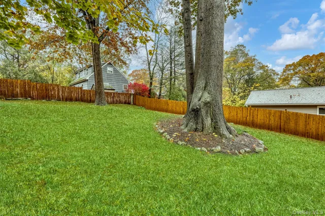 a view of a garden with a tree