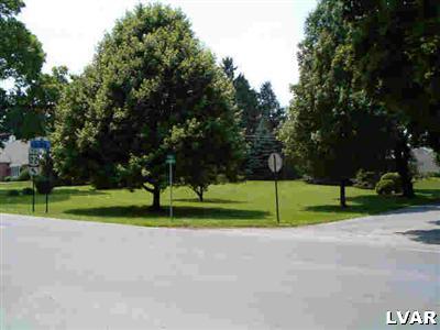 1814 Ruth Street Allentown, PA 18104 - Photo 5 of 5 a view of road and large trees