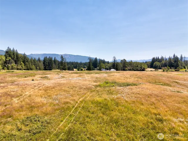 a view of a field with trees in background