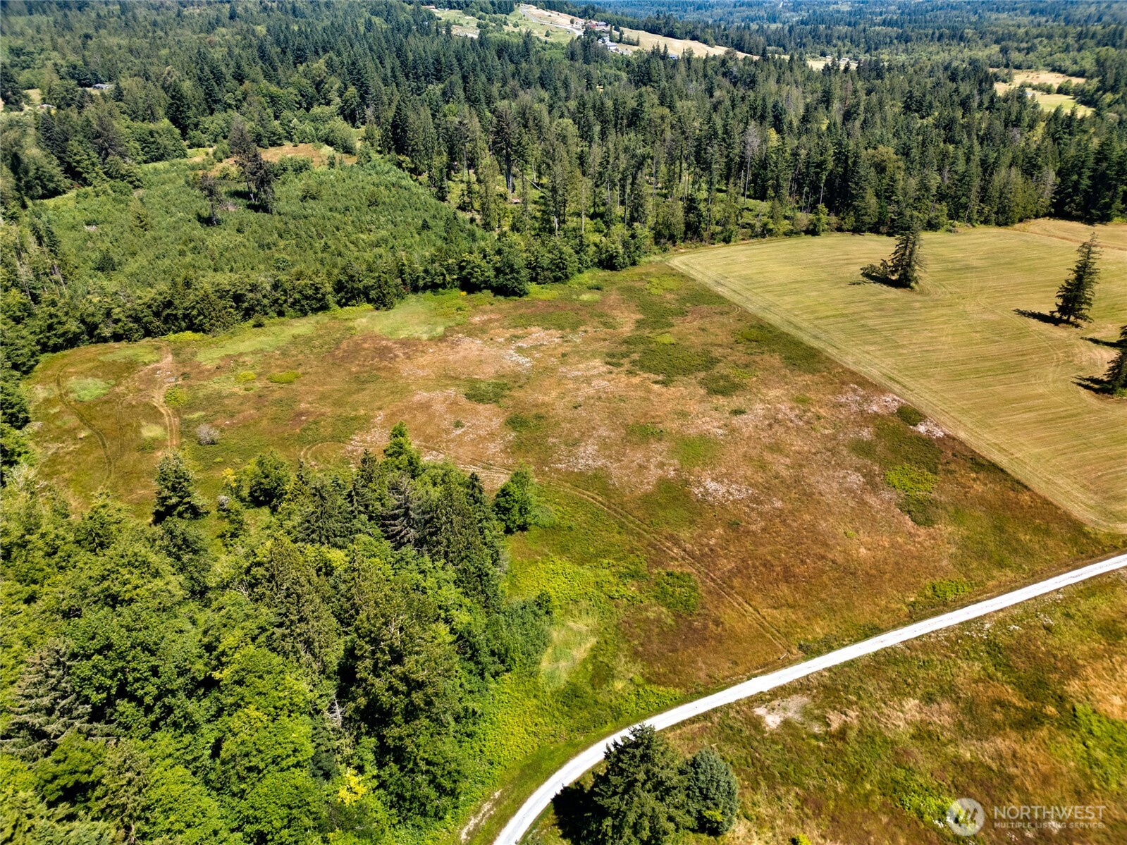0 Colony Road Bow, WA 98232 - Photo 5 of 10 a view of yard with swimming pool and trees
