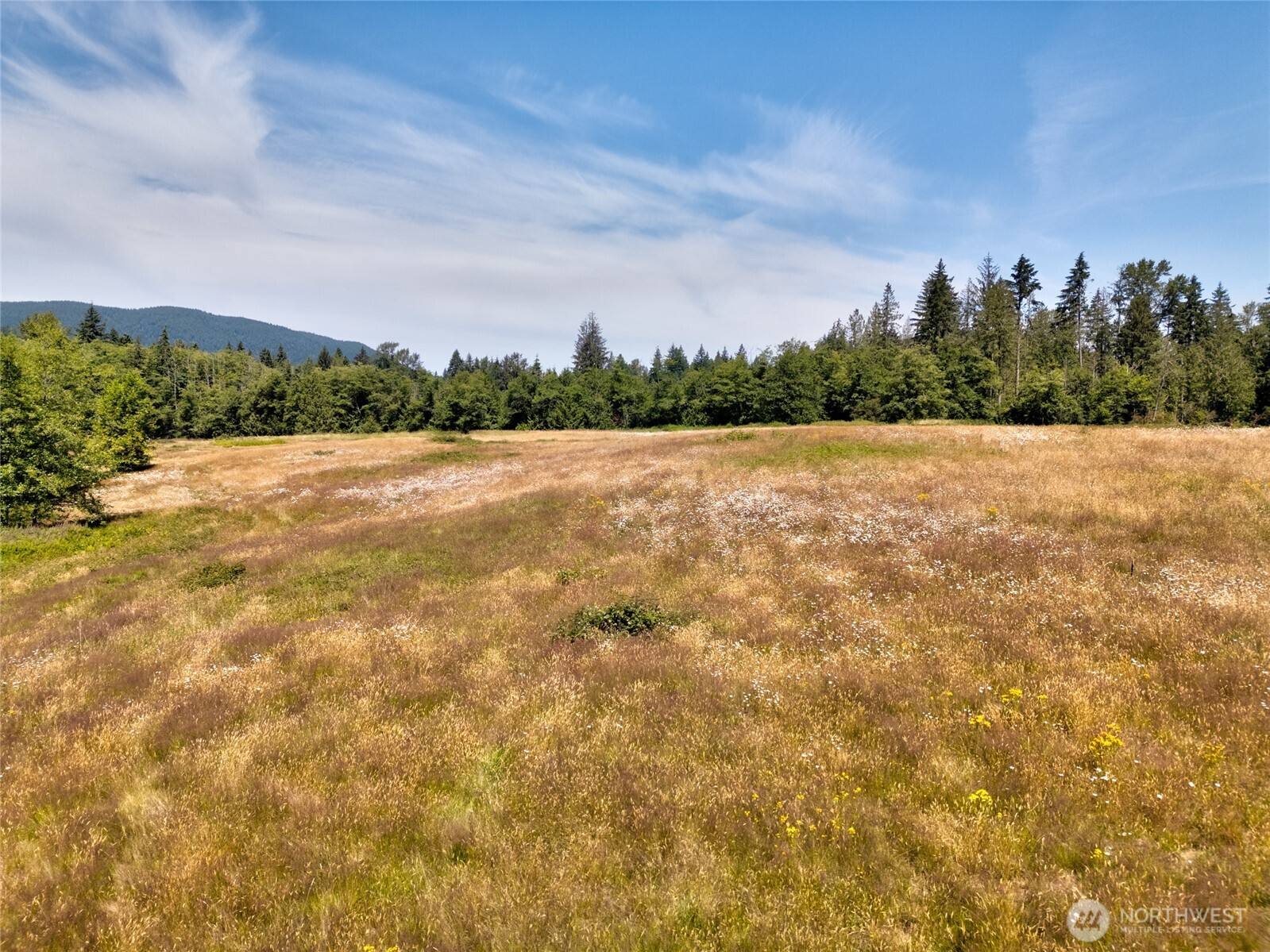 0 Colony Road Bow, WA 98232 - Photo 9 of 10 a view of an ocean and beach