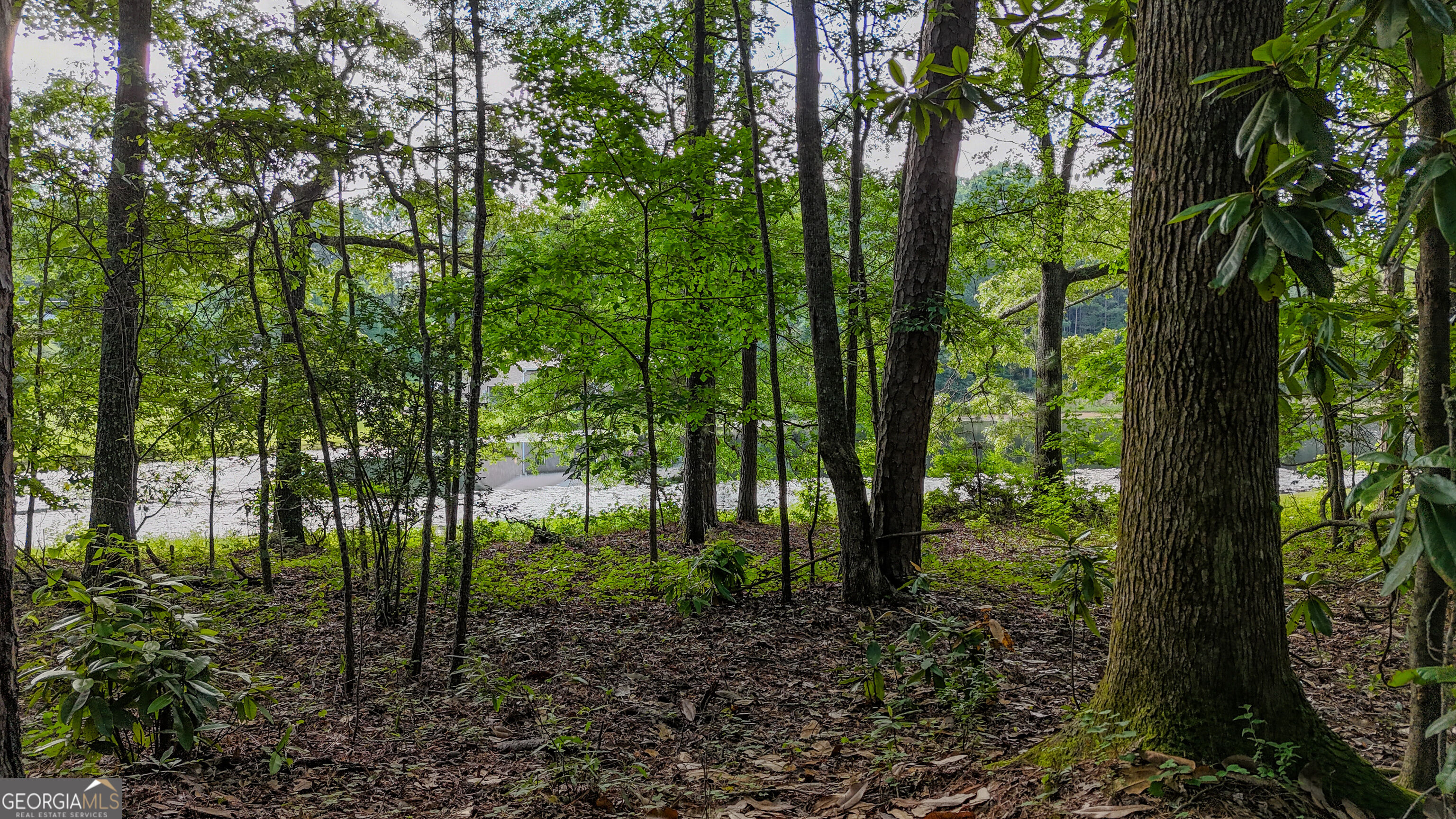 110 Handy Road Newnan, GA 30263 - Photo 69 of 98 Gallery Image 69