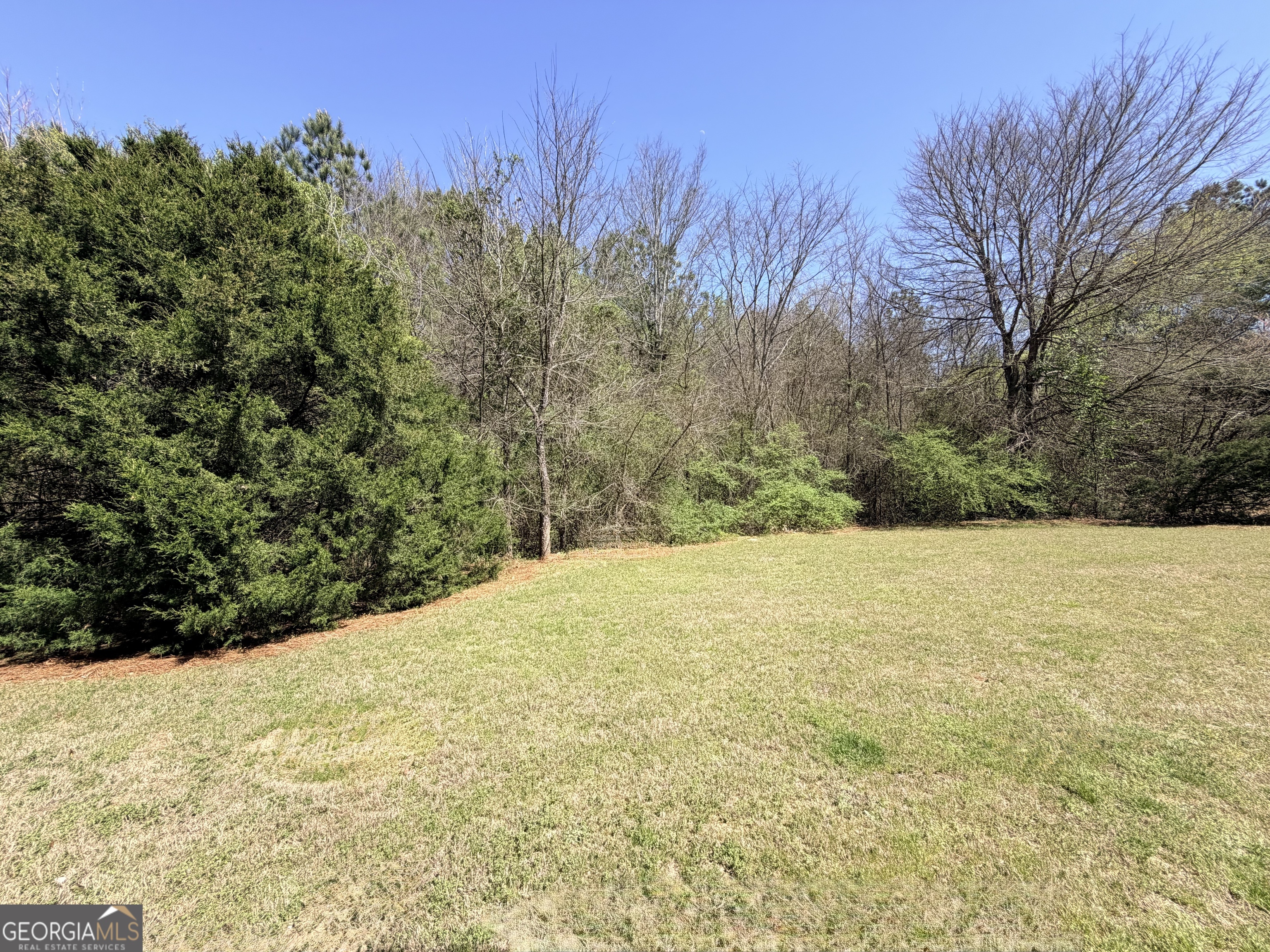 1601 Honeysuckle Path Conyers, GA 30012 - Photo 33 of 34 a view of empty yard with mountain view