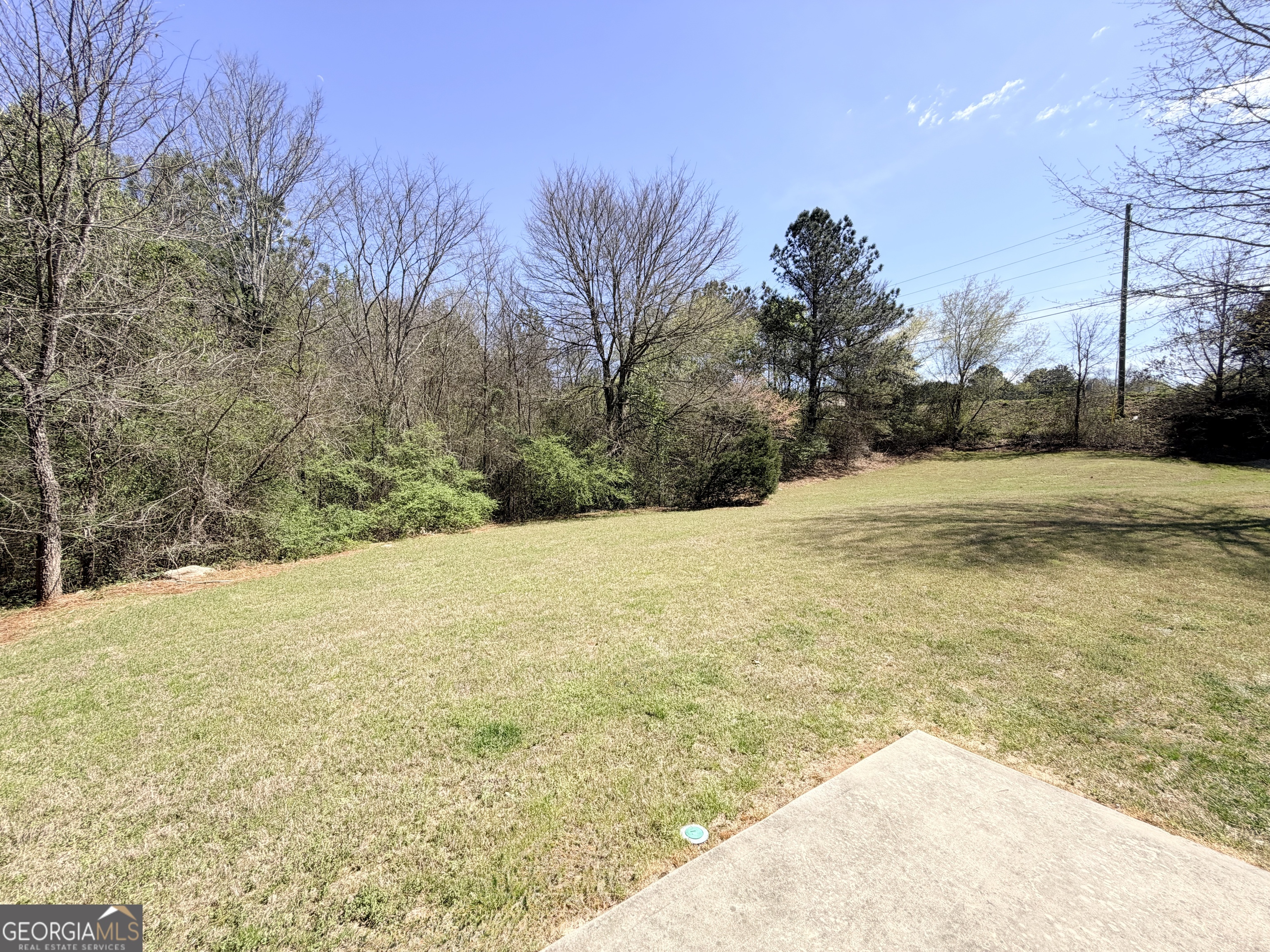 1601 Honeysuckle Path Conyers, GA 30012 - Photo 34 of 34 a view of ocean view with large trees