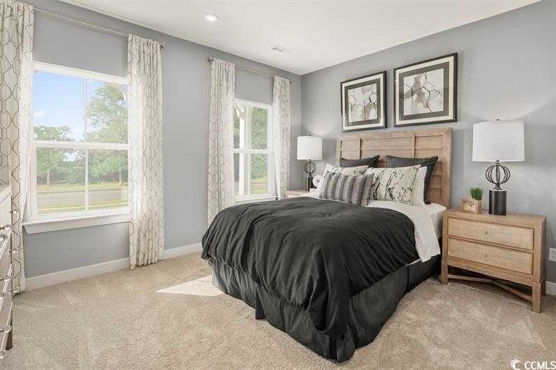 4028 Viola Loop Myrtle Beach, SC 29579 - Photo 4 of 12 Gallery Image 4