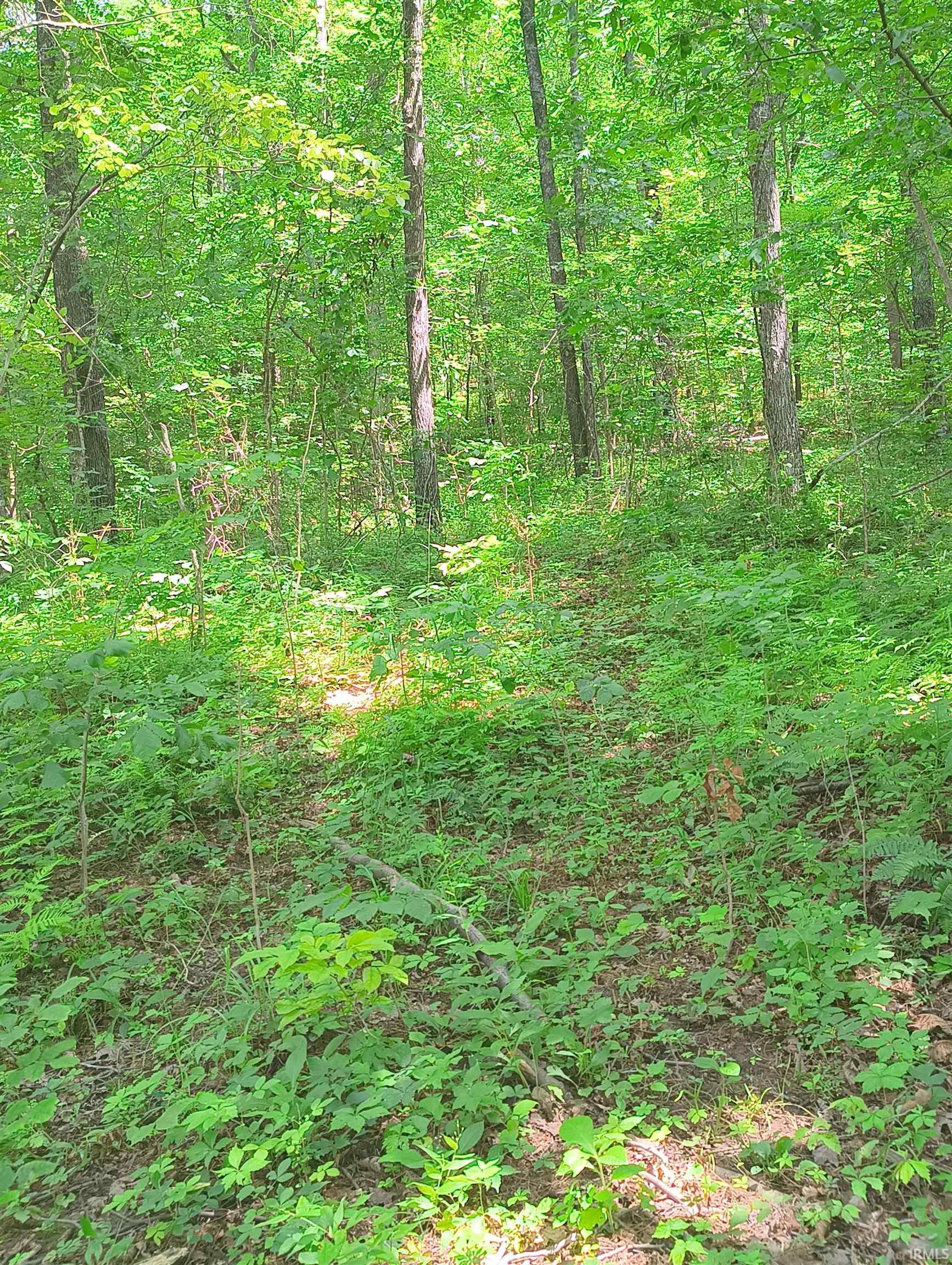 2500 South Coalmine Road Bloomfield, IN 47424 - Photo 9 of 12