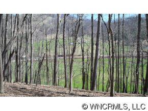 851 Bald Creek Road Clyde, NC 28721 - Photo 4 of 4 Gallery Image 4