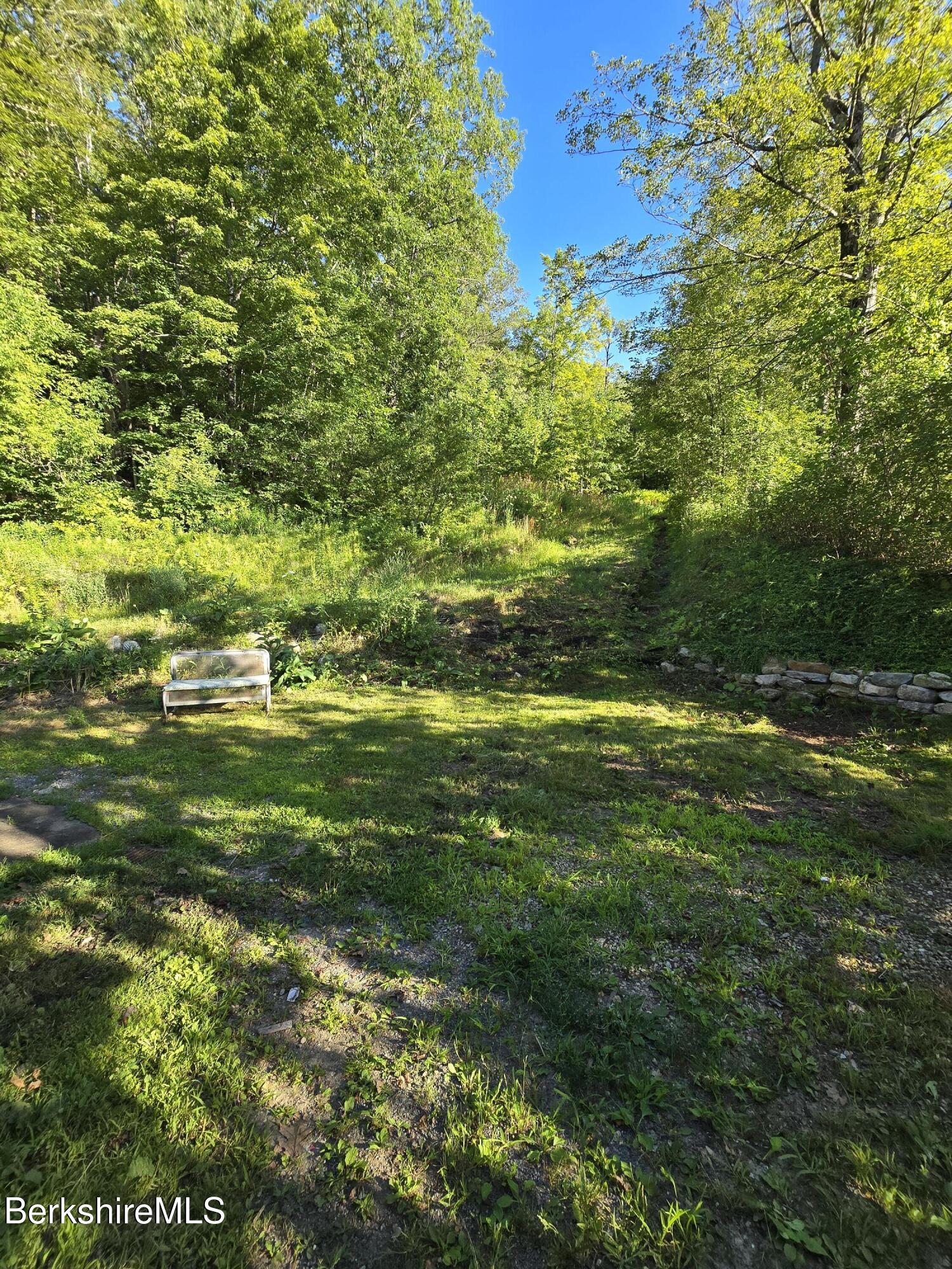 450 River Road Clarksburg, MA 01247 - Photo 6 of 45 a view of a green yard with large trees